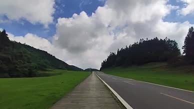 旅行仙女山拍摄视频树林草原网红公路视频的预览图